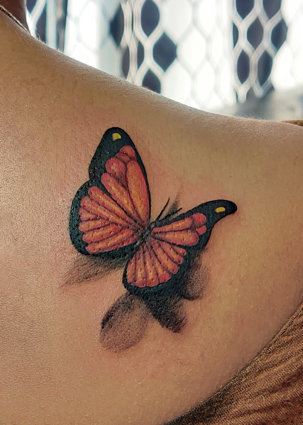 butterfly color