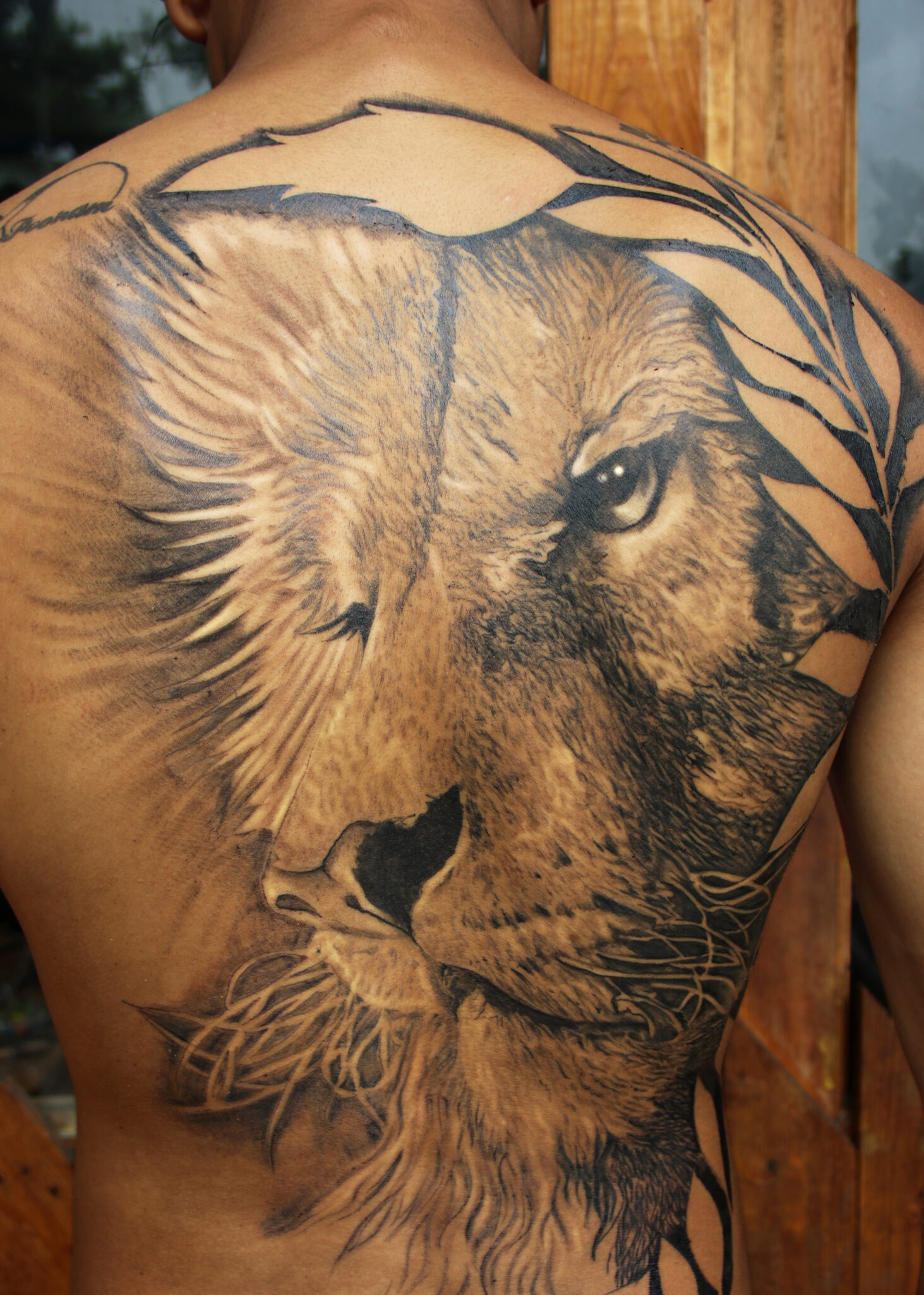 lion tattoo